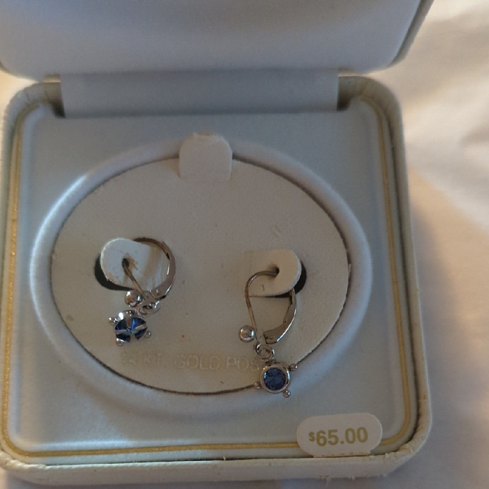 Elegant Silver and Blue Earrings  Stones. 14kt Gold Posts. Sale New SALE